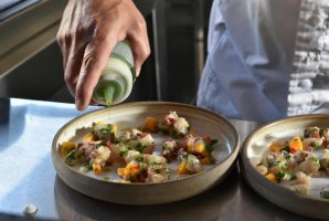 וילה אחוזת נתיב 33