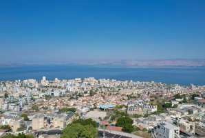 אחוזת התכלת 16